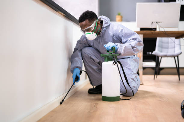 Best Indoor Pest Control  in Boston Heights, OH